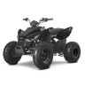LINHAI ATV 110 vaikiškas keturratis
