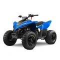 Vaikiškas keturratis CFMOTO CFORCE 110 BASIC