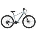 Dviratis 29 LETS MTB grey reid - l