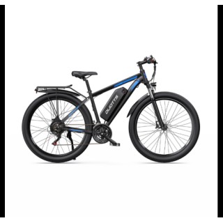 DUOTTS C29L Hydraulics elektrinis dviratis (29")