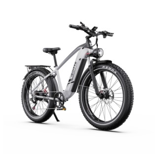 DUOTTS F26 Lite elektrinis dviratis (26")