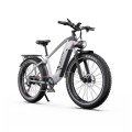 DUOTTS F26 Lite elektrinis dviratis (26")