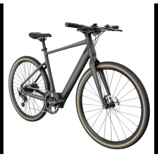 FIIDO C21 E-GRAVEL elektrinis dviratis (28")