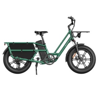 FIIDO T2 CARGO elektrinis dviratis (20")