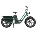 FIIDO T2 CARGO elektrinis dviratis (20")
