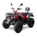 LINHAI M210 2X4 EFI T3B  keturratis