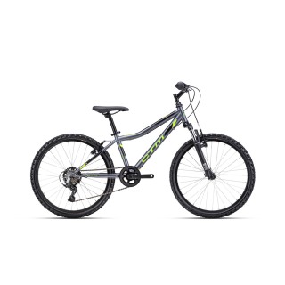Dviratis Berry 24"
