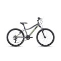 Dviratis Berry 24"