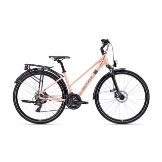 Dviratis Maxima 1.0 28" trek