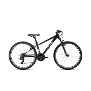 Dviratis Terrano 26"