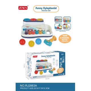 2-in-1 Music Set
