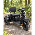 Elektrinis triratis motoroleris SL-04 OFFROAD