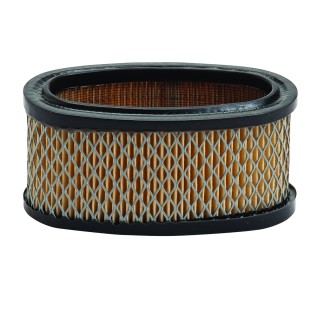 Oro filtras Briggs and Stratton 11 Ag varikliams (*393725)