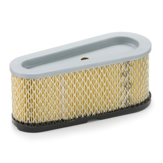 Oro filtras Briggs & Stratton *493909