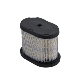 Oro filtras B&S 5 Ag Quantum varikliams *497725, *494586