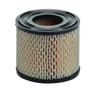 Oro filtras Briggs & Stratton varikliams *393957, *390930