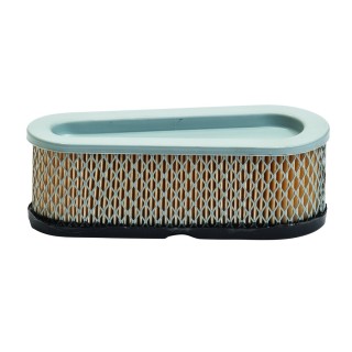 Oro filtras B&S 196700, 257700 varikliams (*493910, *691667)