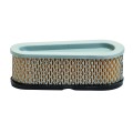 Oro filtras B&S 196700, 257700 varikliams (*493910, *691667)