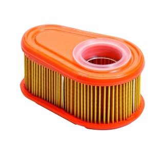 Oro filtras Briggs & Stratton 100602 varikliams (*792038)