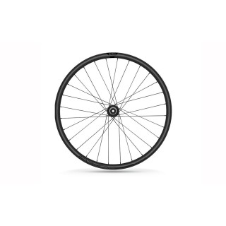 Ratas priekinis 700C Ready19 12x100 6-Bolt SB