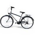 Miesto dviratis Strow 28" Pilkas