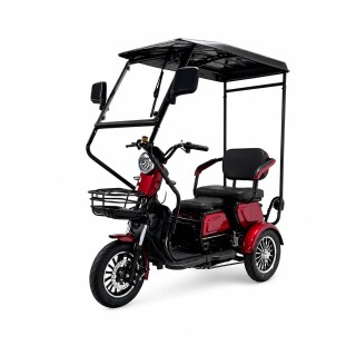 Elektrinis triratis motoroleris / mopedas M20TA EEC, 1kW 20AH eMOTO