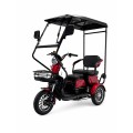 Elektrinis triratis motoroleris / mopedas M20TA EEC, 1kW 20AH eMOTO