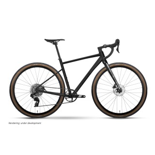 Dviratis Raymon Territ Ultra 2026 black stealth-XL