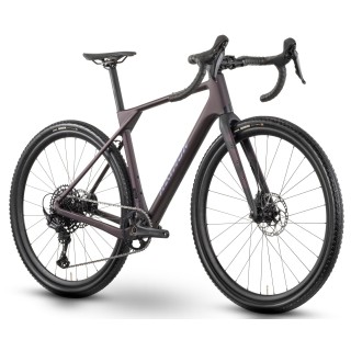 Dviratis Raymon Soreno Pure 2026 floridplum-M
