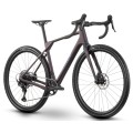 Dviratis Raymon Soreno Pure 2026 floridplum-M