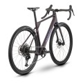 Dviratis Raymon Soreno Pure 2026 floridplum-L