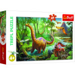 Puzzles 60 pcs.