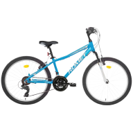 Dviračiai paaugliams